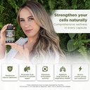 gade-nutrition-nac-supplement-n-acetyl-c-2.jpg