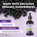 natures-liquids-organic-elderberry-syrup-4.jpg