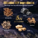 ashwagandha-gummies-with-shilajit-300mg--3.jpg