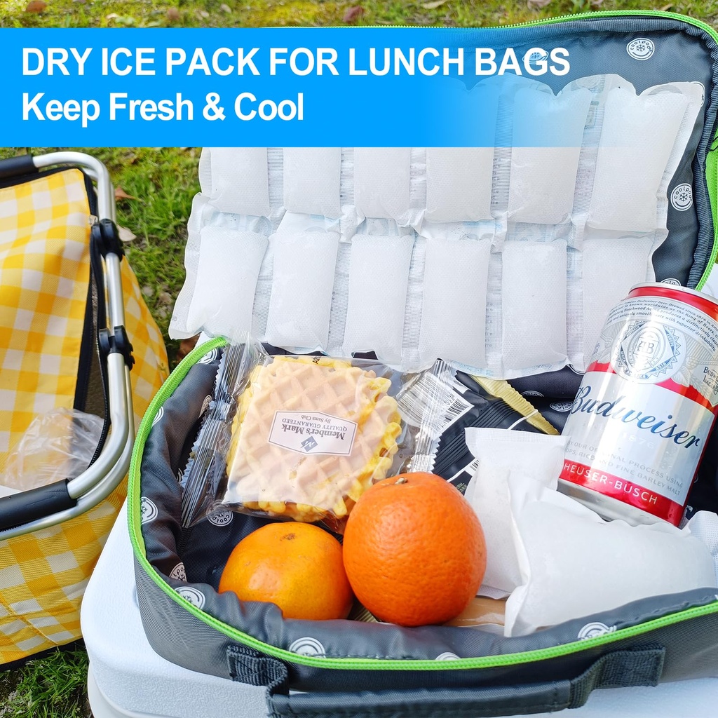 shipping-cold-packs-dry-ice-for-shipping-4.jpg