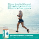 vegan-life-nutrition-marine-phytoplankto-3.jpg