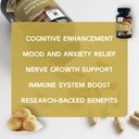 lion-s-mane-mushroom-supplement-capsules-5.jpg