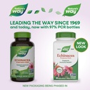 nature-s-way-echinacea-purpurea-herb-imm-2.jpg