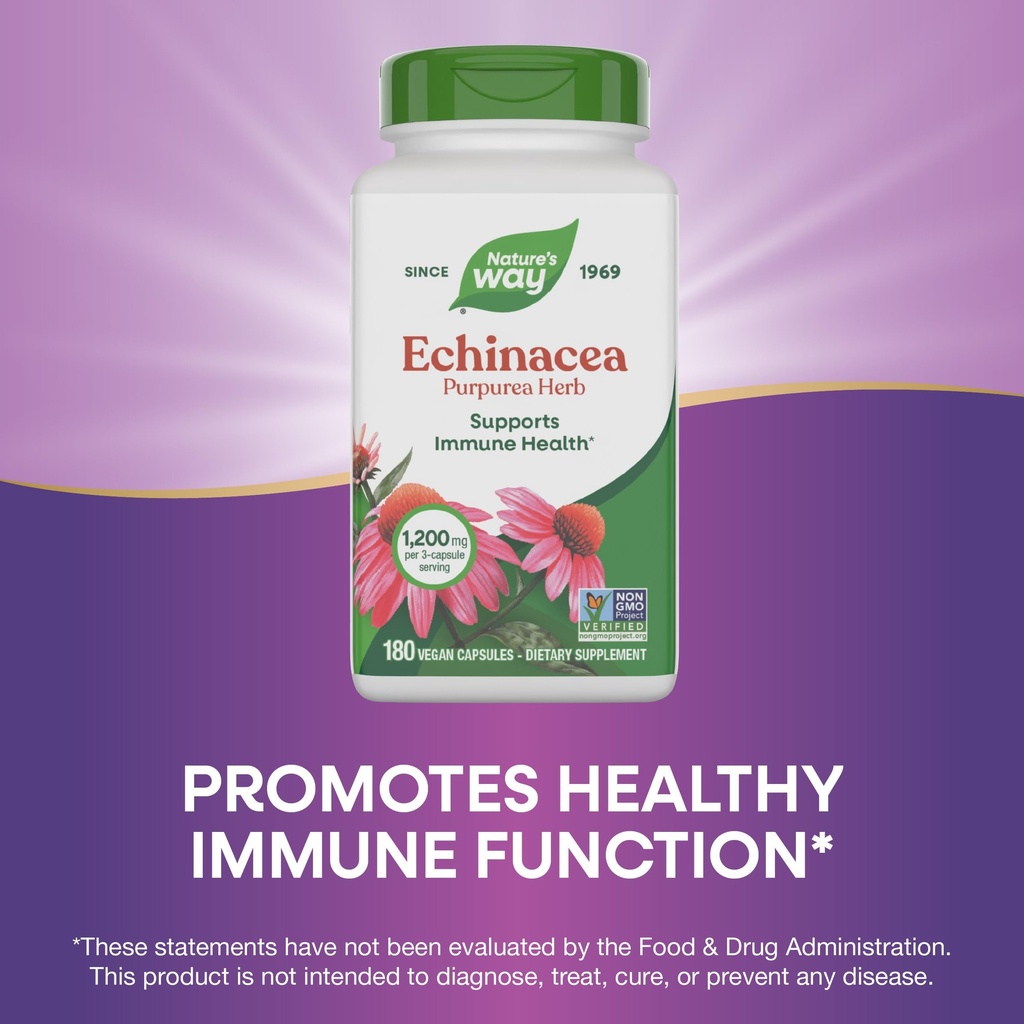 nature-s-way-echinacea-purpurea-herb-imm-4.jpg