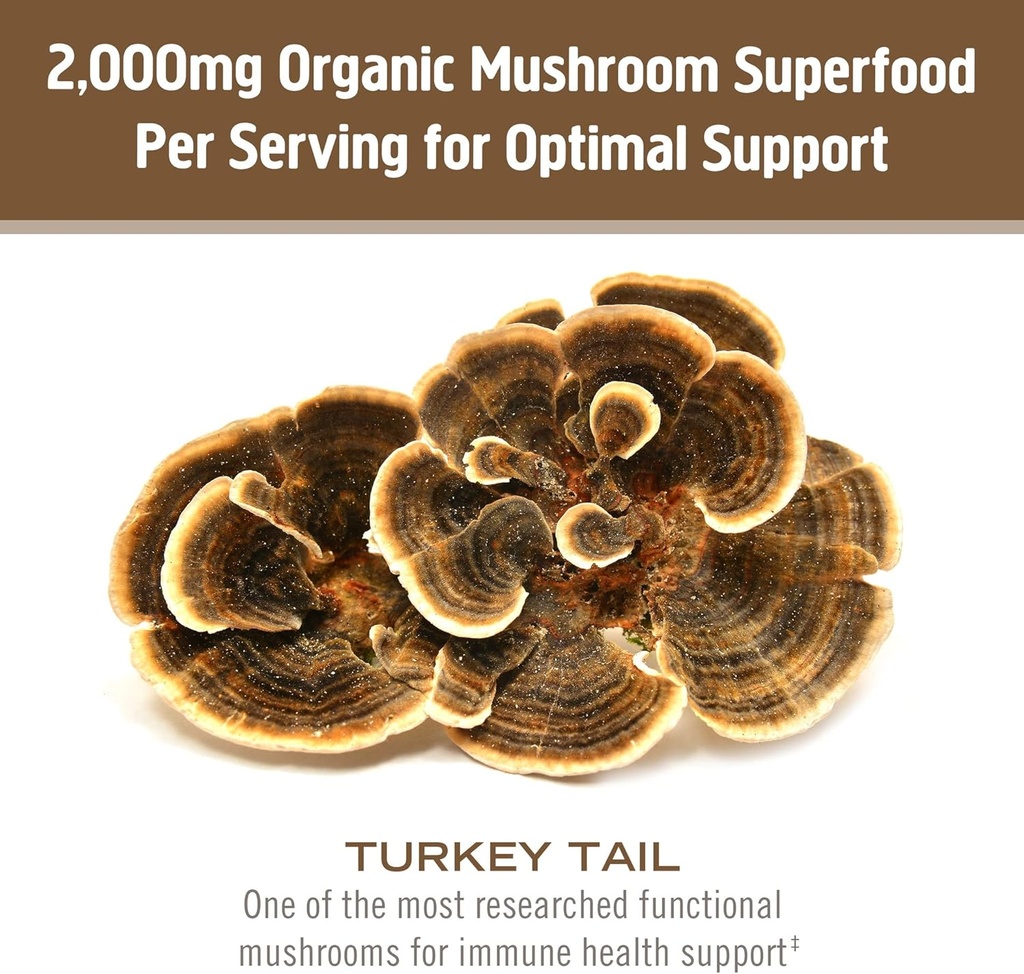 om-mushroom-superfood-turkey-tail-organi-4.jpg