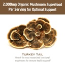 om-mushroom-superfood-turkey-tail-organi-4.jpg