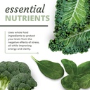 optimal-health-systems-nadh-dim-dr-harri-5.jpg