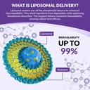 cortisol-supplement-liquid-drops-hormone-4.jpg