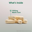 jarrow-formulas-mastic-gum-1000-mg-60-ve-3.jpg