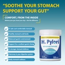 h-pylori-capsules-with-100-billion-cfu-m-2.jpg