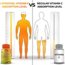 quercetin-with-bromelain-vitamin-c-zinc--6.jpg
