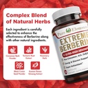 extreme-berberine-plus-with-ala-coq10-tu-3.jpg