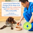 native-pet-omega-3-fish-oil-for-dogs-cat-5.jpg