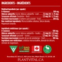 plantvital-bundle-power-duo-berberine-50-6.jpg