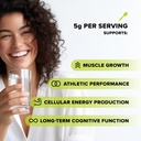 complement-unflavored-protein-creatine-b-2.jpg