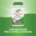 nature-s-way-5-mushroom-blend-with-lion--3.jpg