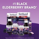 sambucol-advanced-black-elderberry-syrup-5.jpg