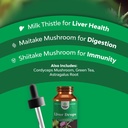 liver-support-milk-thistle-tincture---he-4.jpg