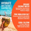 hydrating-electrolyte-drink-mix---mango--4.jpg