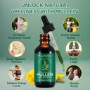 mullein-leaf-extract-drops-organic-liqui-3.jpg