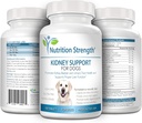 kidney-support-for-dogs---renal-bladder--4.jpg