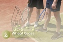 pure-original-ingredients-wheat-grass-10-5.jpg