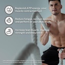 naked-pure-micronized-creatine-monohydra-6.jpg