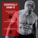 unaltered-muscle-builder-belly-fat-burne-4.jpg