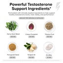 innosupps-t-drive-magnum-testosterone-bo-2.jpg