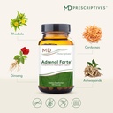 md-prescriptives---adrenal-forte---adren-5.jpg