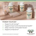 liposomal-coq10-supplement-for-antioxida-3.jpg