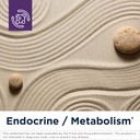 designs-for-health-glucosupreme-herbal-s-2.jpg