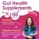 drfoster-probiotics-for-women-digestive--2.jpg