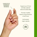 swanson-lactobacillus-rhamnosus-with-fos-4.jpg