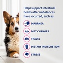 nutramax-proviable-probiotics-for-dogs-d-5.jpg
