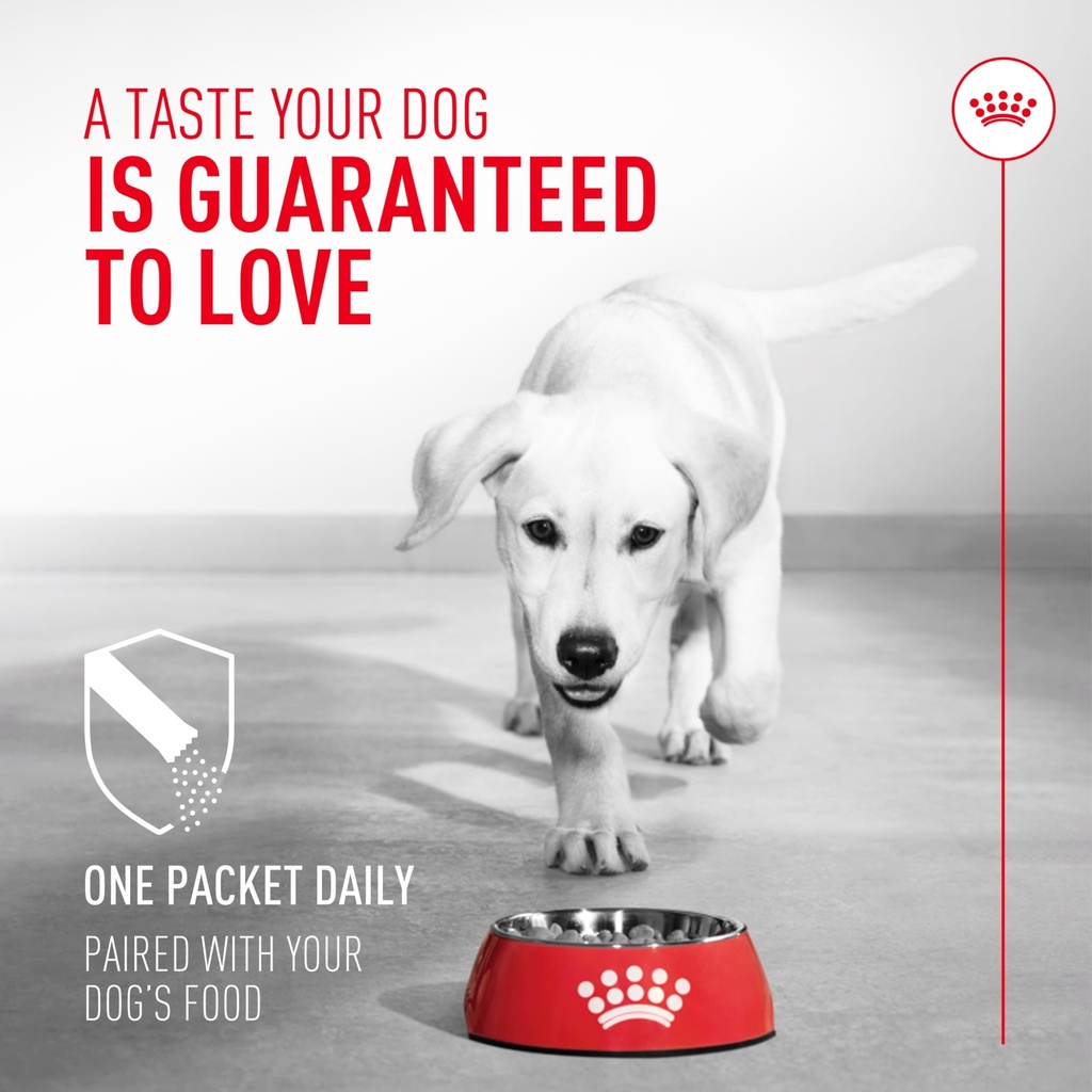 royal-canin-probiotics-for-dogs-digestiv-4.jpg