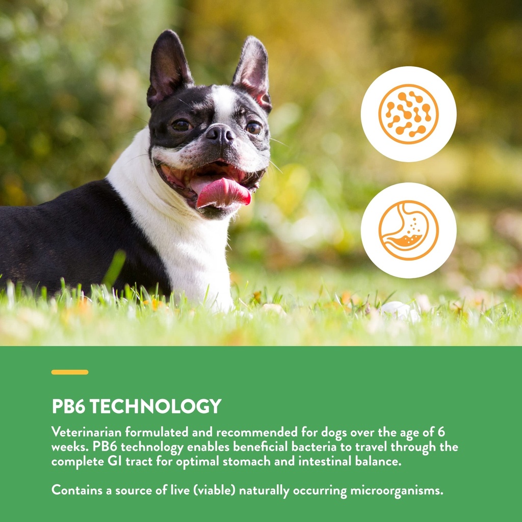 naturvet-advanced-probiotics-healthy-enz-5.jpg