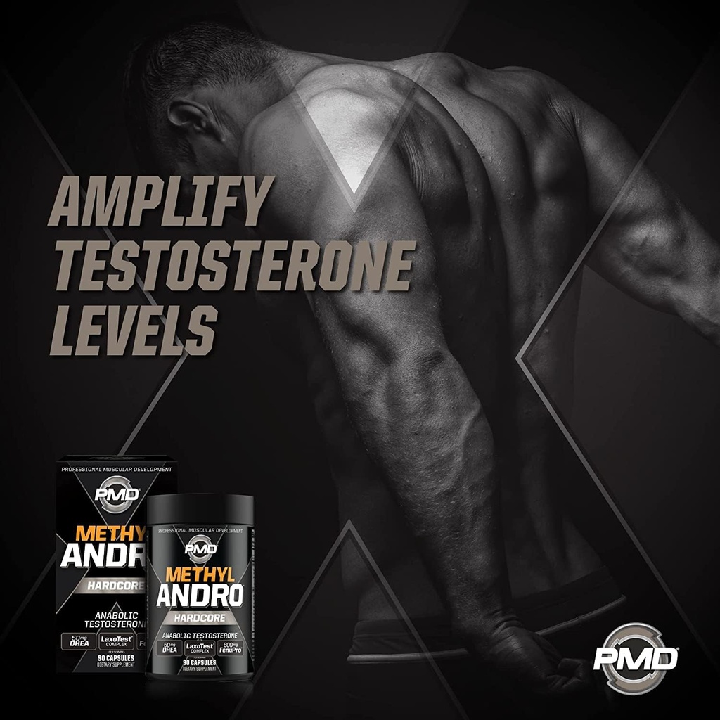pmd-methyl-andro-hardcore---support-test-4.jpg