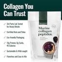 natural-force-clean-marine-collagen-powd-3.jpg