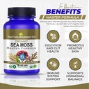 the-food-movement-co-sea-moss-master-for-5.jpg