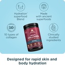 ancient-nutrition-advanced-multi-collage-2.jpg
