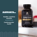 ancient-nutrition-ancient-omegas-whole-b-3.jpg