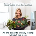 ancient-nutrition-organic-supergreens-po-5.jpg