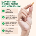 zenwise-health-green-tea-extract-capsule-4.jpg