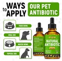 antibiotics-for-dogs-antibiotics-for-cat-5.jpg
