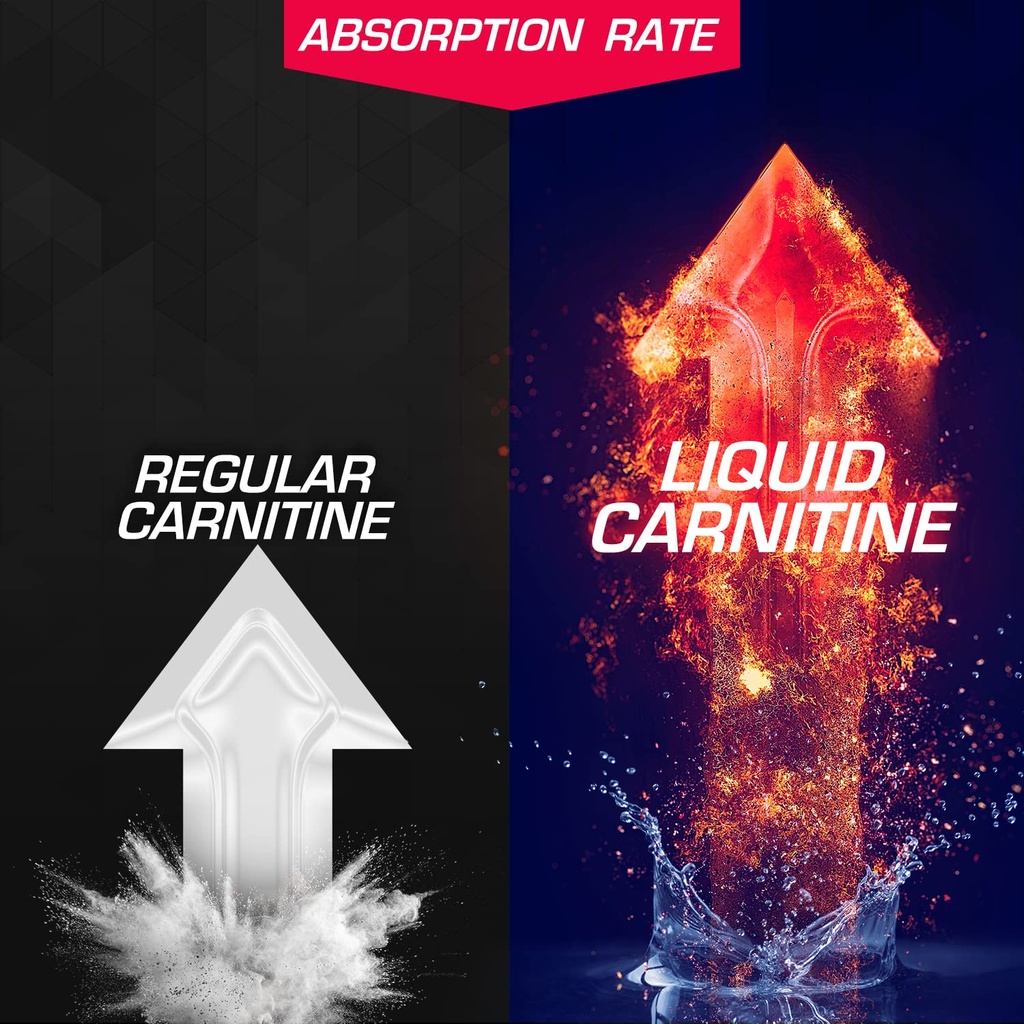 efx-sports-l-carnitine-liquid-1500mg-imp-5.jpg