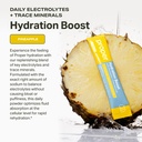proper-hydration-sticks-electrolyte-powd-2.jpg