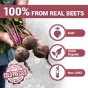 dr-berg-raw-organic-beet-powder-from-rea-3.jpg