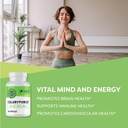 vimergy-celeryforce-nutrients-and-amino--2.jpg