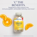 solaray-vitamin-c-1000mg-time-release-vi-3.jpg